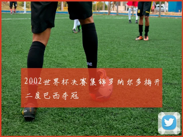 2002世界杯决赛集锦罗纳尔多梅开二度巴西夺冠