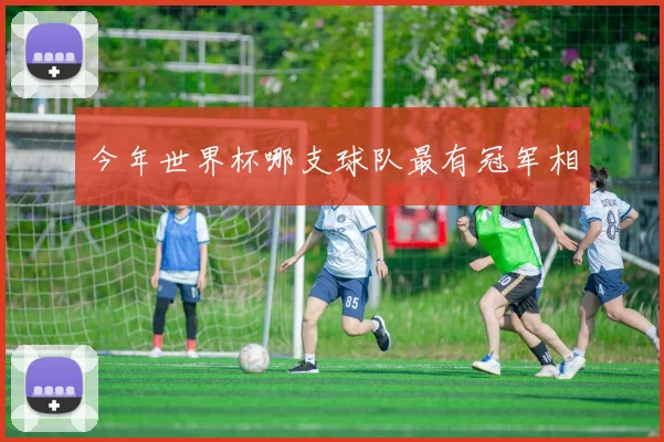 今年世界杯哪支球队最有冠军相