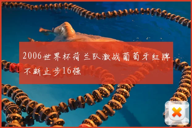2006世界杯荷兰队激战葡萄牙红牌不断止步16强
