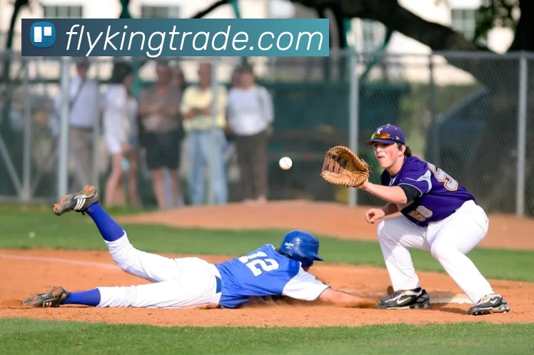 星空体育在线登录入口发展历程