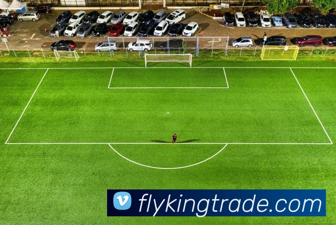 App功能展示图